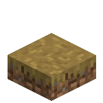 Dirt Path Slab