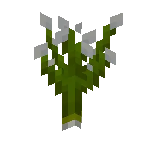 A picture of a bog blossom