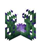 White Torch